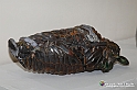 VBS_7805 - Mostra della Ceramica di Castellamonte 2021